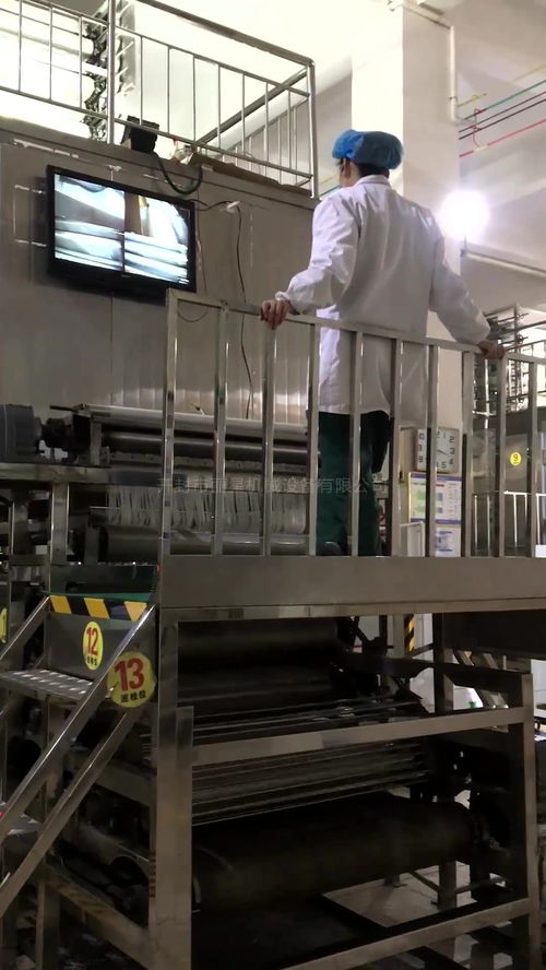 酸辣粉生产线集成烘干装置 提升即食粉丝生产效率与品质